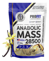 Anabolic Mass 28500 Profit Labs 3kg Sabor Baunilha - Ganho De Peso