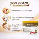 Suplemento Lavitan Hair 30 Cps - Anti-Queda E Fortalecedor De Unhas