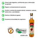 Vinagre de Maçã Orgânico Em Vidro 500ml - Detox E Perda De Peso