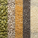 Mix de Sementes Premium 5 em 1 Nutralife – Equilíbrio Nutricional Perfeito | Visual em Camadas