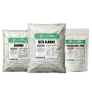 Combo Performance 3X — Beta-Alanina + L-Carnitina + Creatina 100% Pura