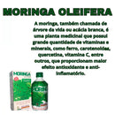 Moringa Oleífera Líquida Nectamel 500ml - 100% Natural E Pura