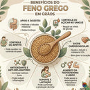 Feno-Grego Em Grãos 100% Puro Premium Nutralife
